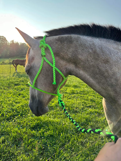 *CUSTOM ORDER* Lariat Rope Nose Mule Tape Halter