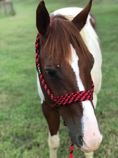 *CUSTOM ORDER* Regular Style Mule Tape Halter