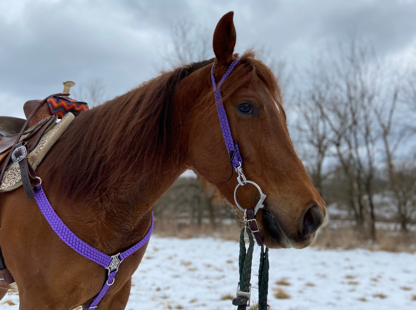 *CUSTOM ORDER* Split Ear Headstall