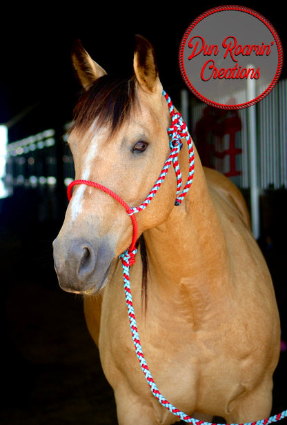 *CUSTOM ORDER* Lariat Rope Nose Mule Tape Halter