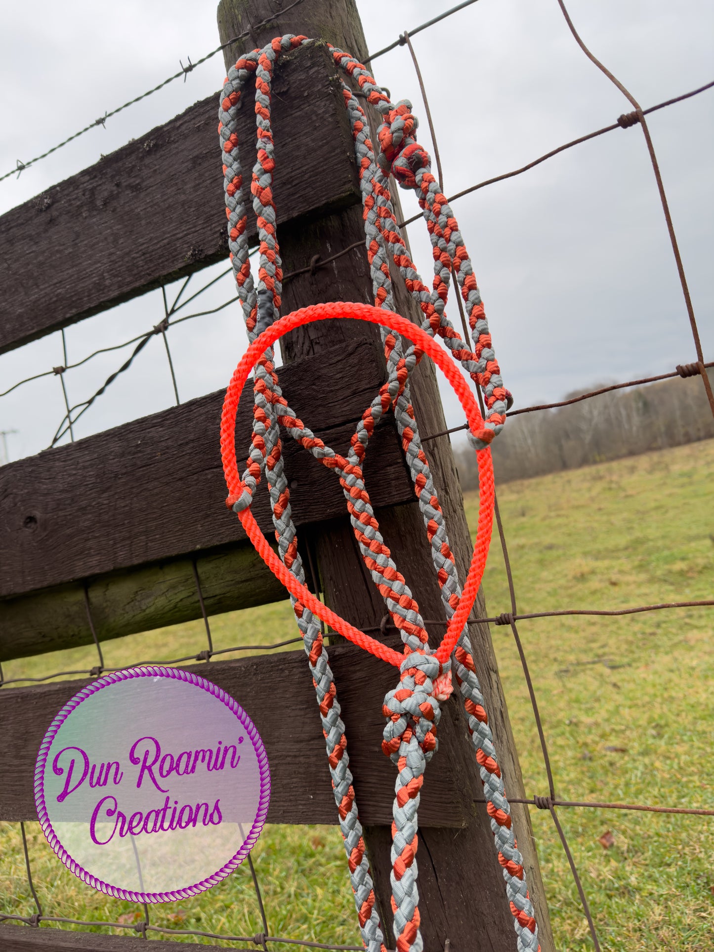 Mule Tape Halter with Lariat Rope Noseband