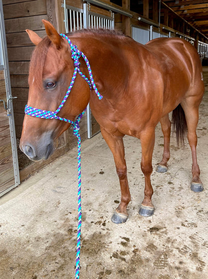 *CUSTOM ORDER* Regular Style Mule Tape Halter