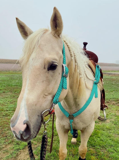 *CUSTOM ORDER* One Ear Headstall