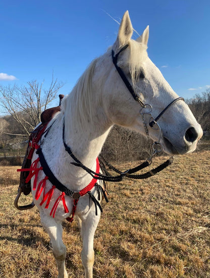 *CUSTOM ORDER* Breast Collar