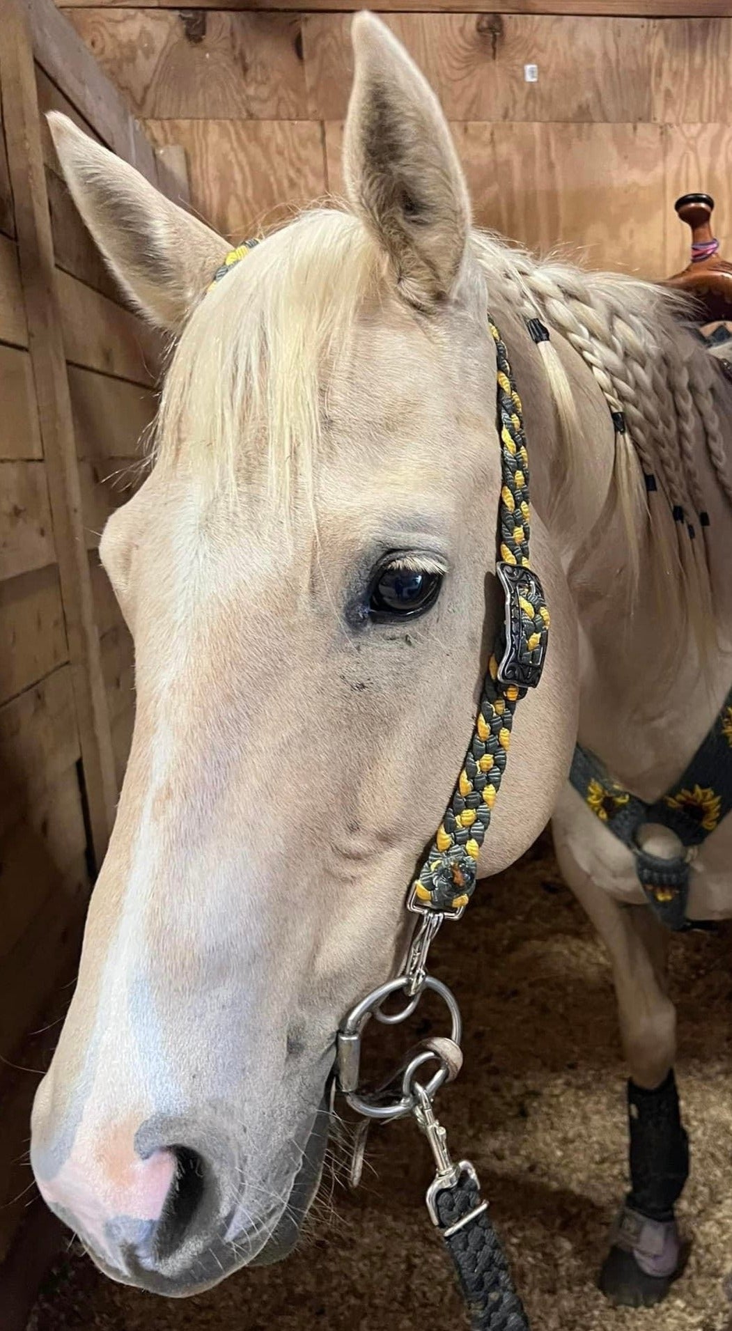 *CUSTOM ORDER* One Ear Headstall