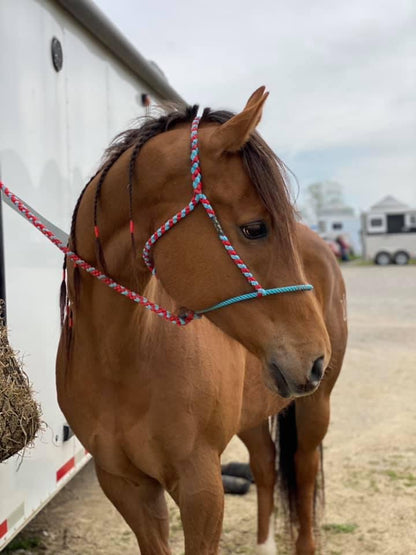 *CUSTOM ORDER* Lariat Rope Nose Mule Tape Halter