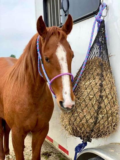 *CUSTOM ORDER* Lariat Rope Nose Mule Tape Halter