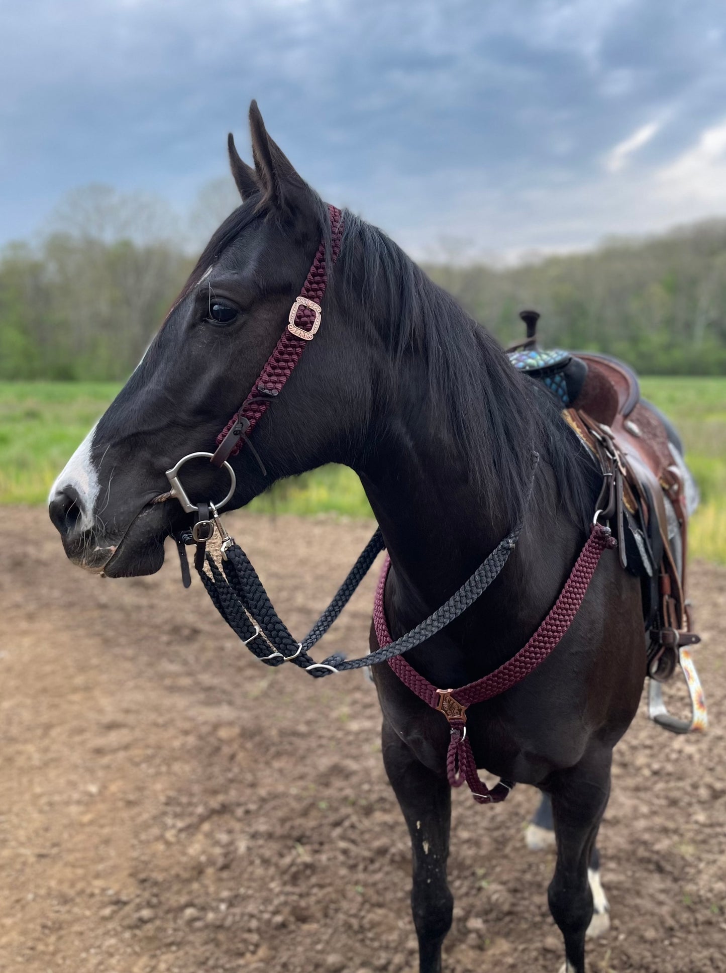 *CUSTOM ORDER* Knotted Barrel Reins