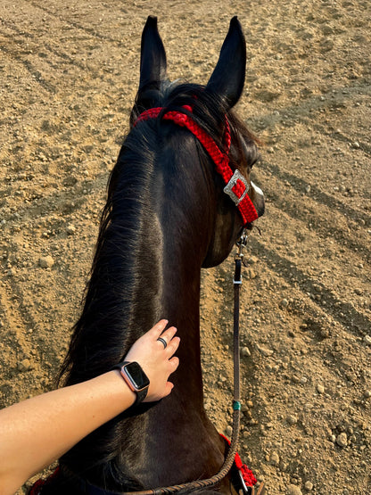 *CUSTOM ORDER* One Ear Headstall