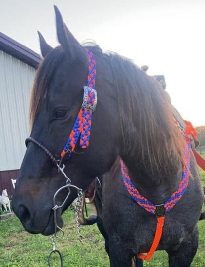 *CUSTOM ORDER* One Ear Headstall