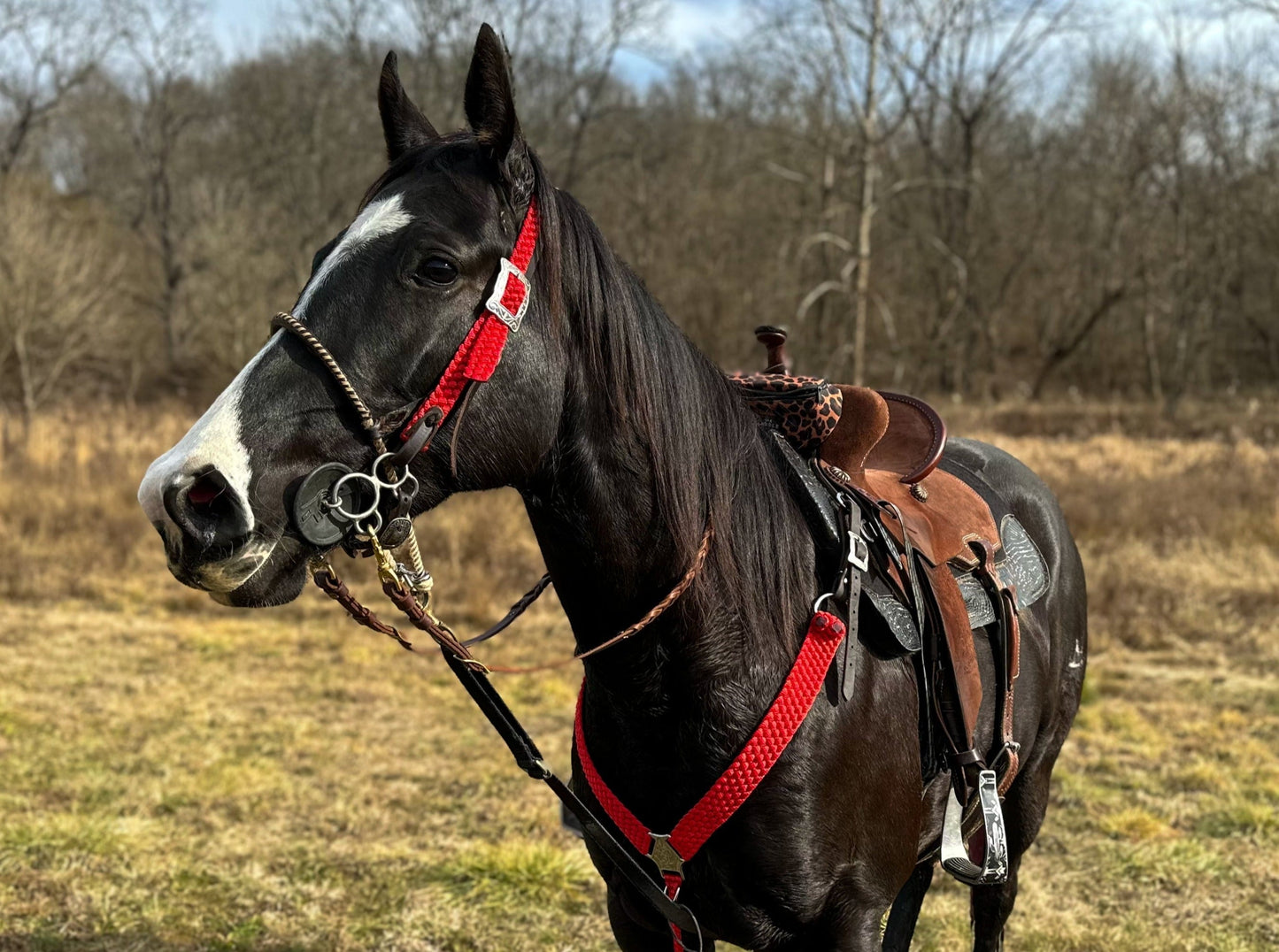 *CUSTOM ORDER* One Ear Headstall