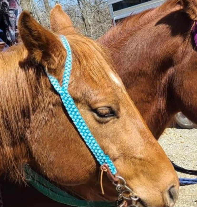 *CUSTOM ORDER* Split Ear Headstall