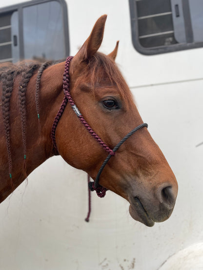 *CUSTOM ORDER* Lariat Rope Nose Mule Tape Halter