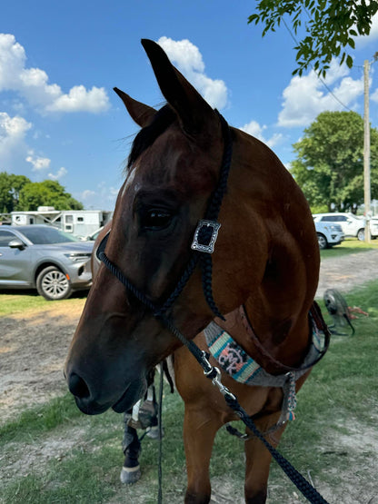 *CUSTOM ORDER* Lariat Rope Nose Tie Down with Strap