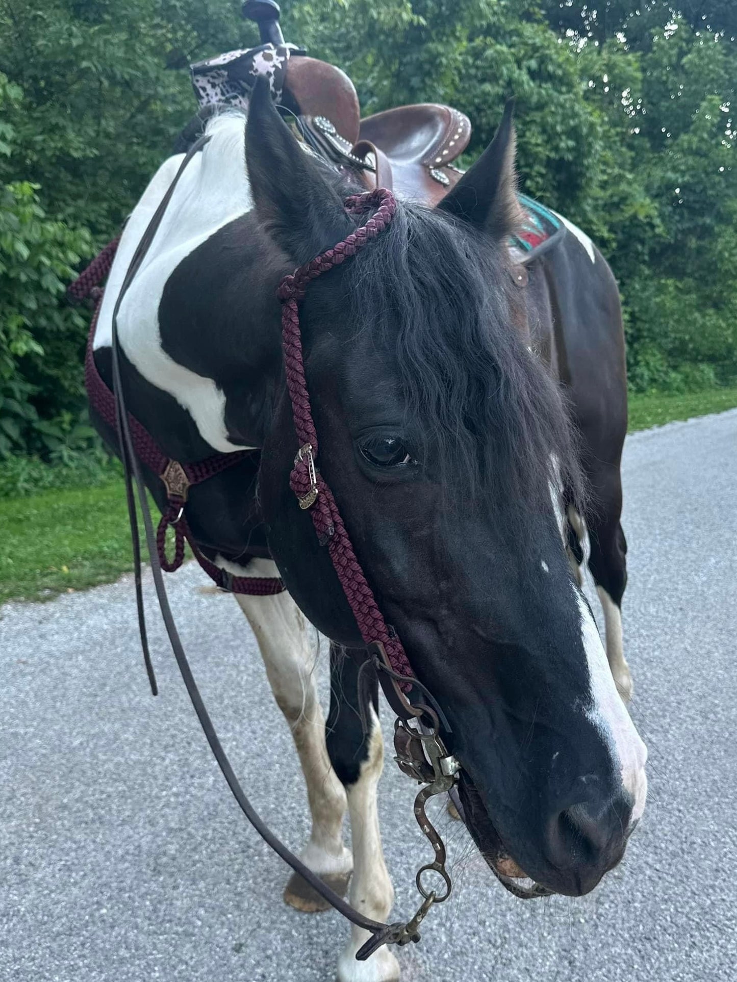 *CUSTOM ORDER* One Ear Headstall