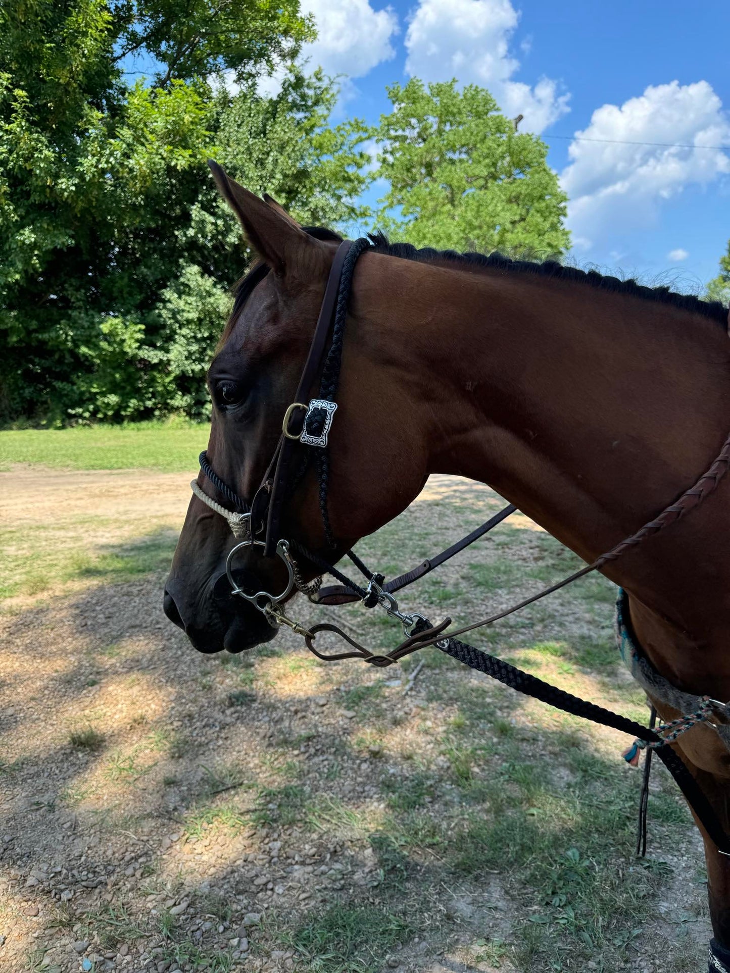 *CUSTOM ORDER* Lariat Rope Nose Tie Down with Strap