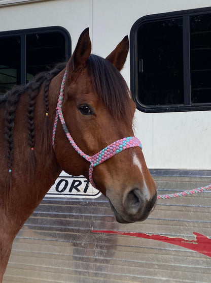 *CUSTOM ORDER* Regular Style Mule Tape Halter