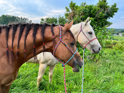 *CUSTOM ORDER* Lariat Rope Nose Mule Tape Halter