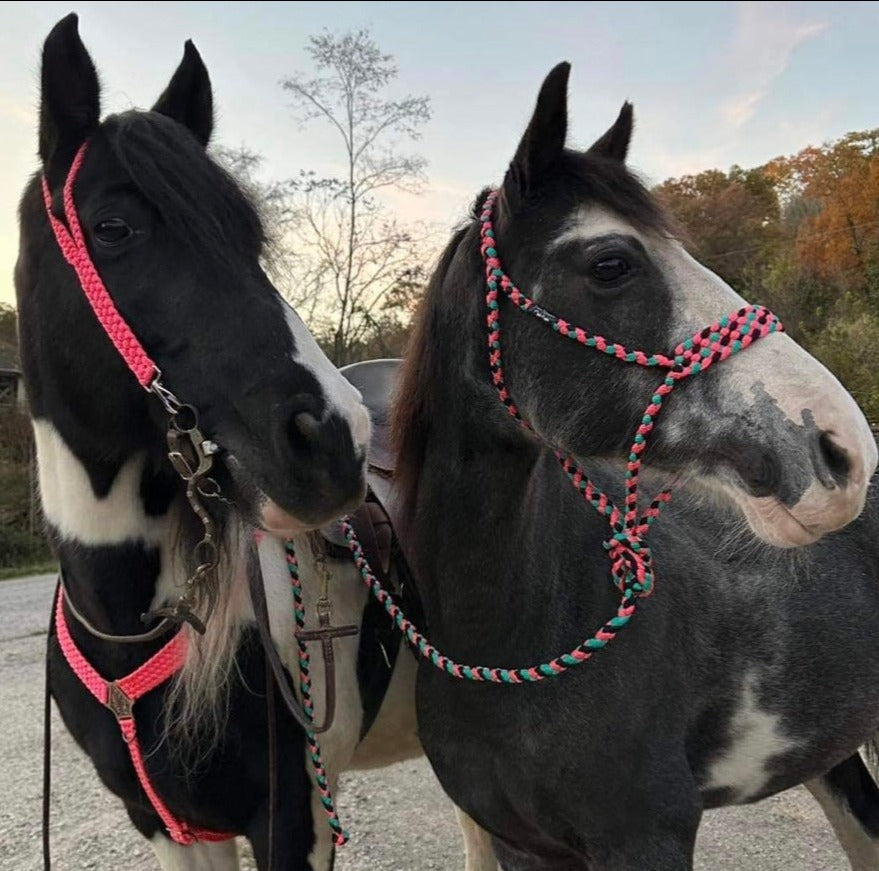 *CUSTOM ORDER* Split Ear Headstall