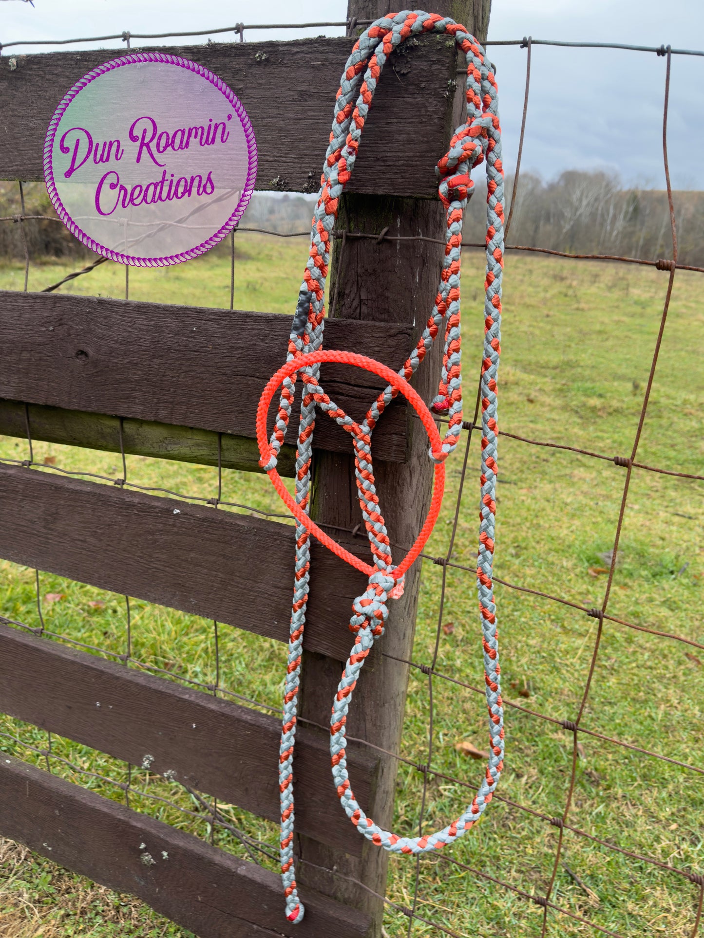 Mule Tape Halter with Lariat Rope Noseband