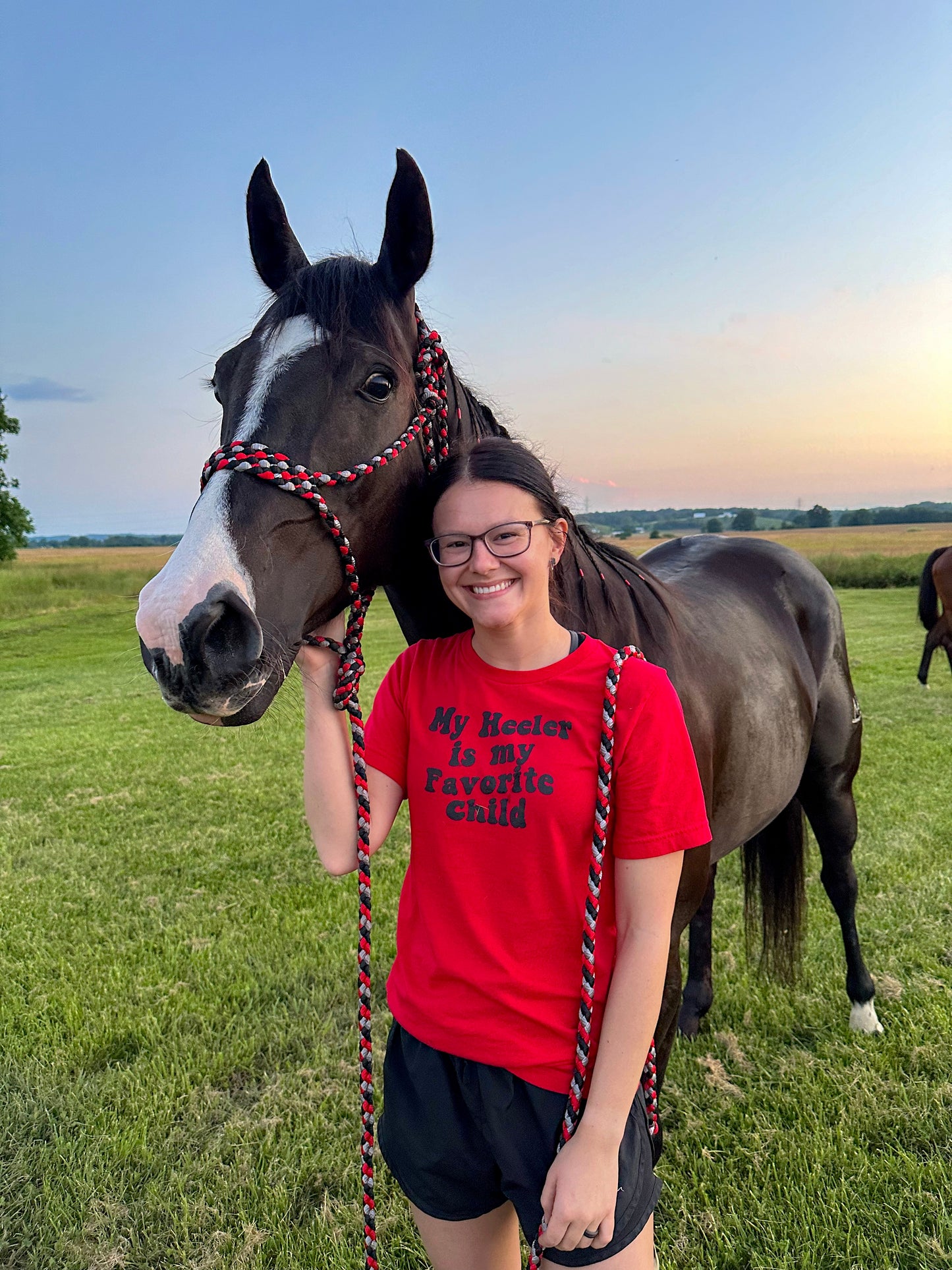 *CUSTOM ORDER* Regular Style Mule Tape Halter