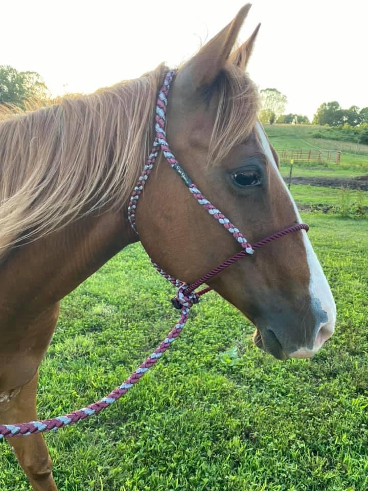 *CUSTOM ORDER* Lariat Rope Nose Mule Tape Halter