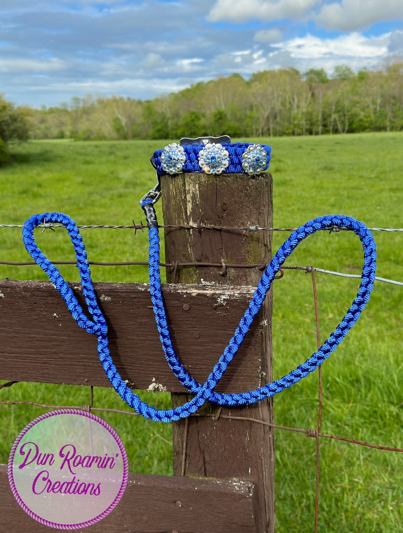 *CUSTOM ORDER* Medium & Large Dog Collars (1" Width)