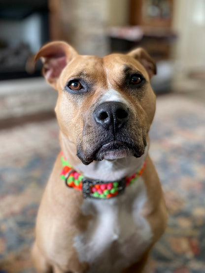 *CUSTOM ORDER* Medium & Large Dog Collars (1" Width)