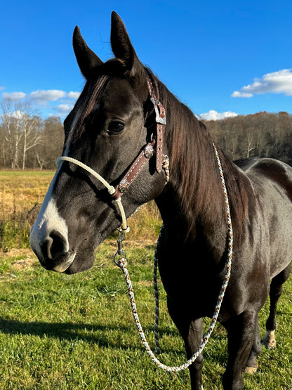 Hybrid Mule Tape Halter