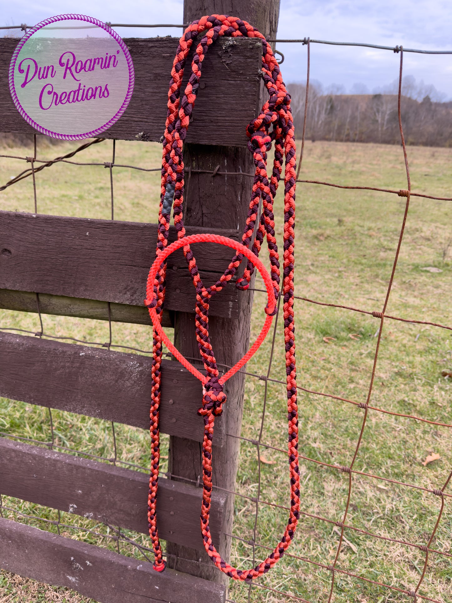 Mule Tape Halter with Lariat Rope Noseband