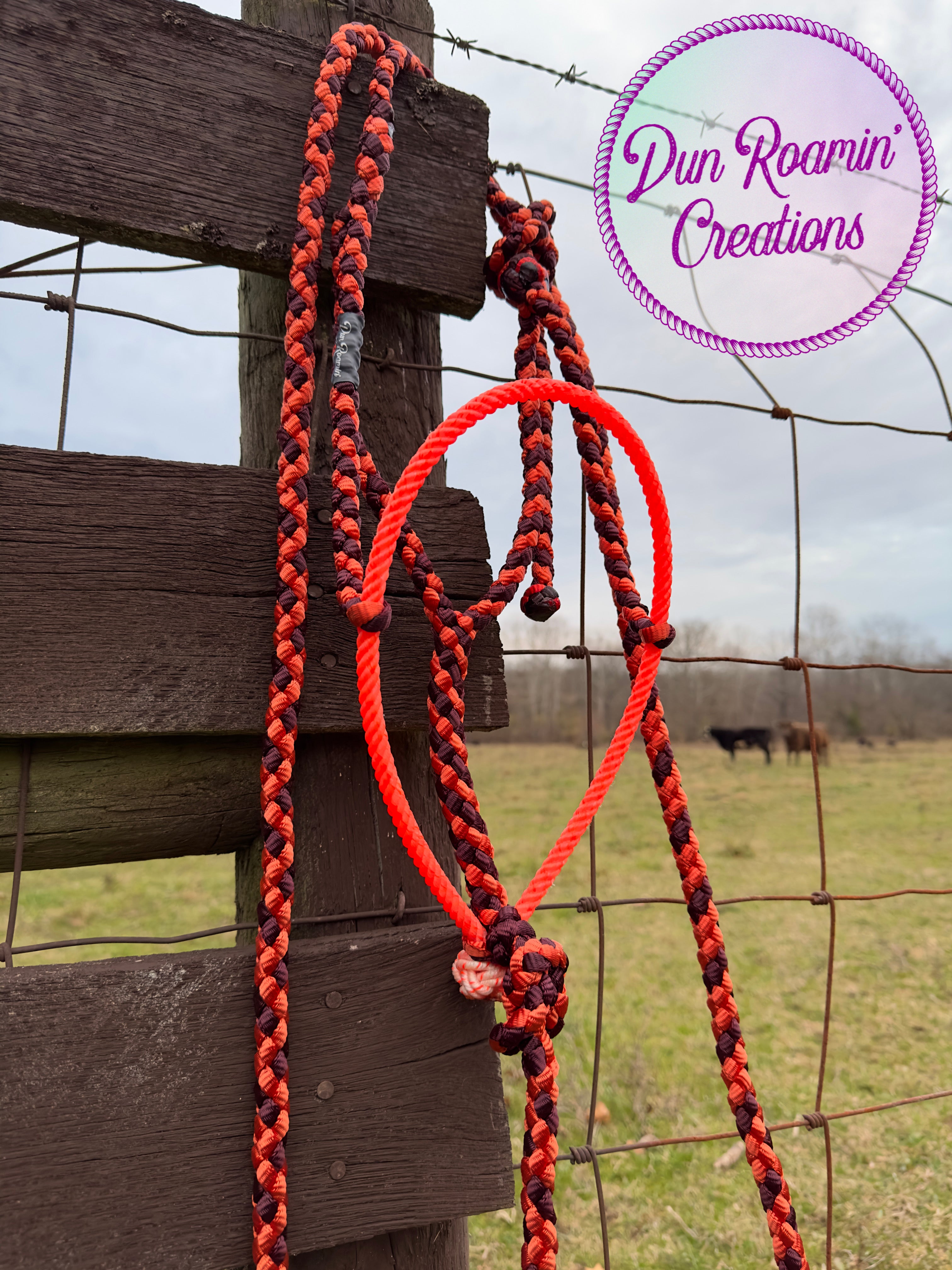 Mule Tape Halter with Lariat Rope Noseband Dun Roamin' Creations