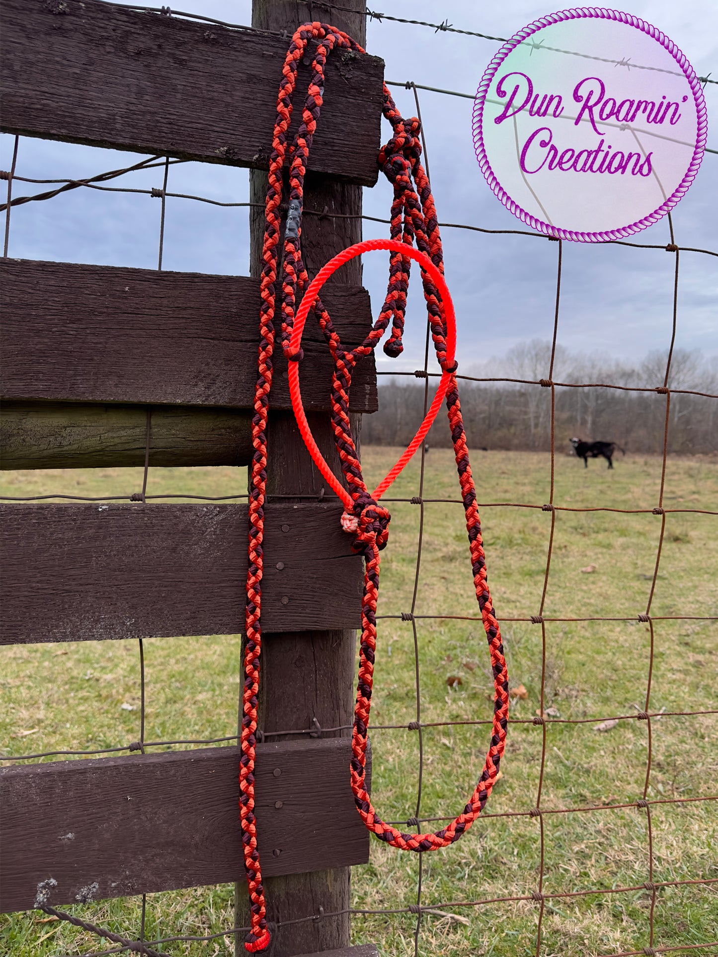 Mule Tape Halter with Lariat Rope Noseband
